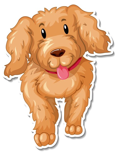 cockapoo clipart
