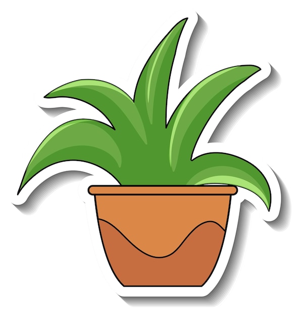 Potted plant clipart. Free download transparent .PNG | Creazilla
