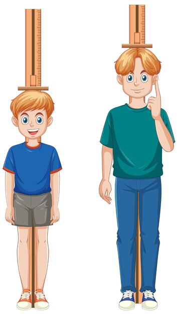 Children Tall Short Stock Illustrations 293 Children Tall Short 