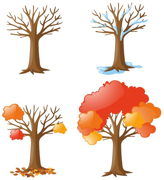 four seasons clipart