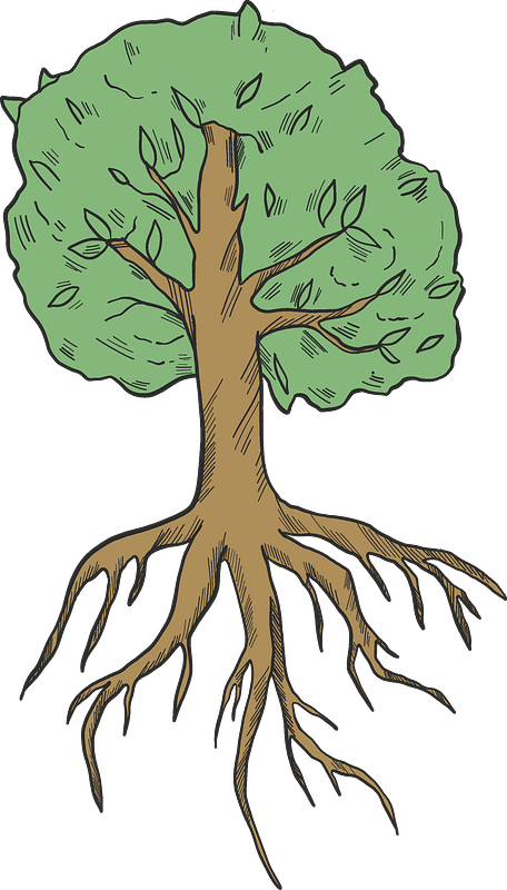 tree roots clipart