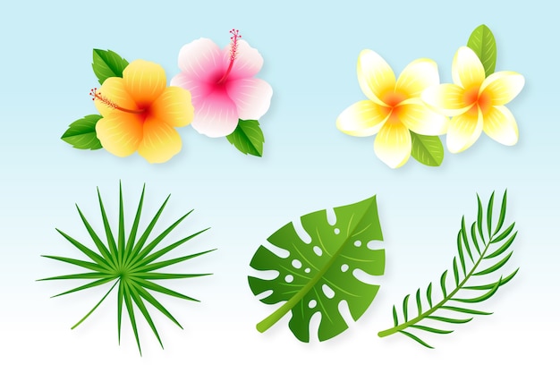 beach flower clipart