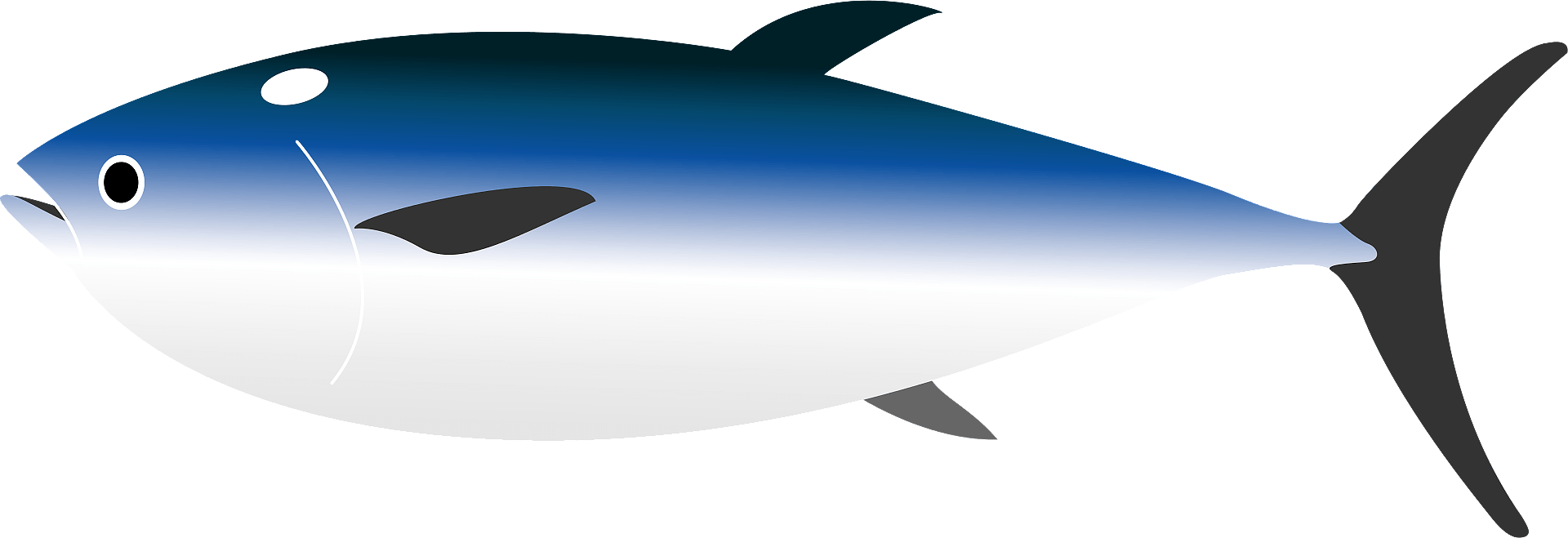 tuna clipart