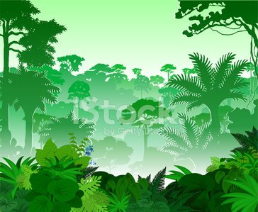 jungle clipart