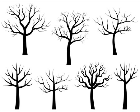 4 Winter Tree Images - Spooky! - The Graphics Fairy