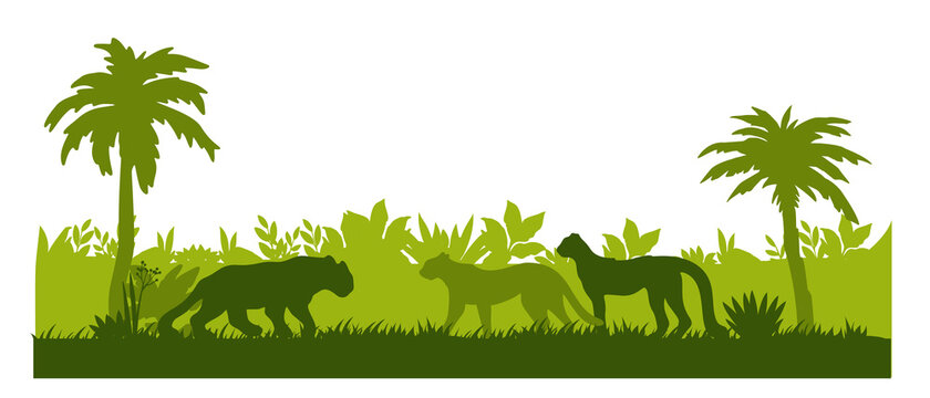 jungle clipart