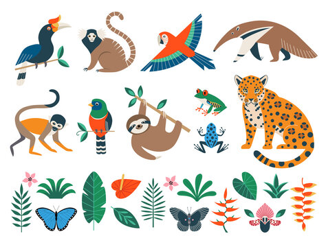 Jungle Background Vector Art, Icons, and Graphics for Free Download