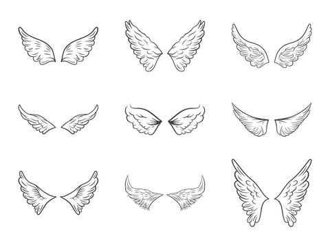 Wings Png - Wings Of Birds Clipart PNG Image | Transparent PNG 