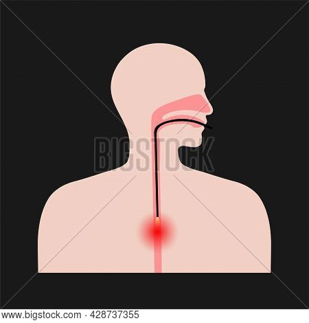 Human Body Vector High Res Illustrations - Getty Images