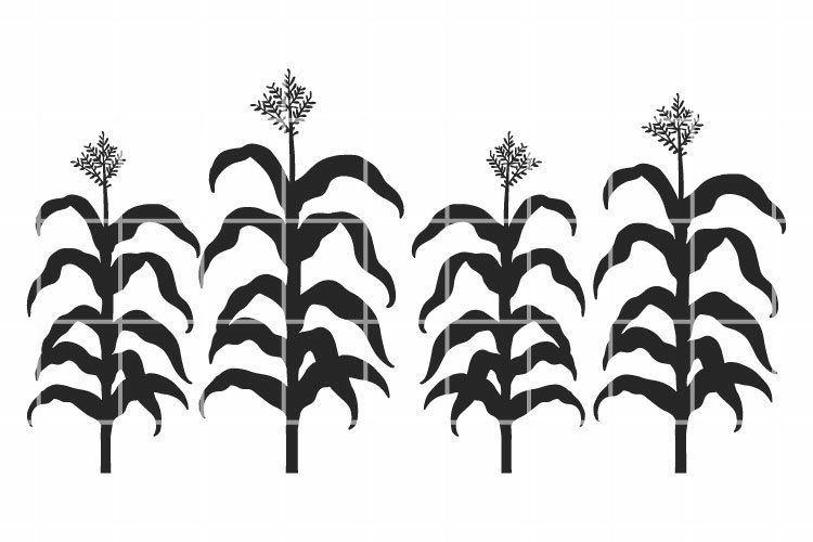 Free Corn Stalk Bundle Clipart, Download Free Corn Stalk Bundle Clipart ...