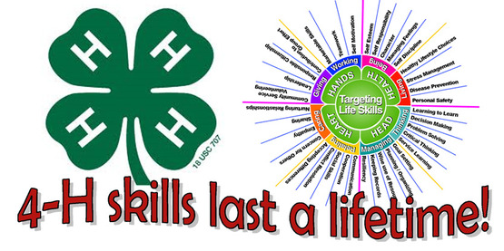 4-h-colors-motto-slogan-kirchhayntrotters-clip-art-library