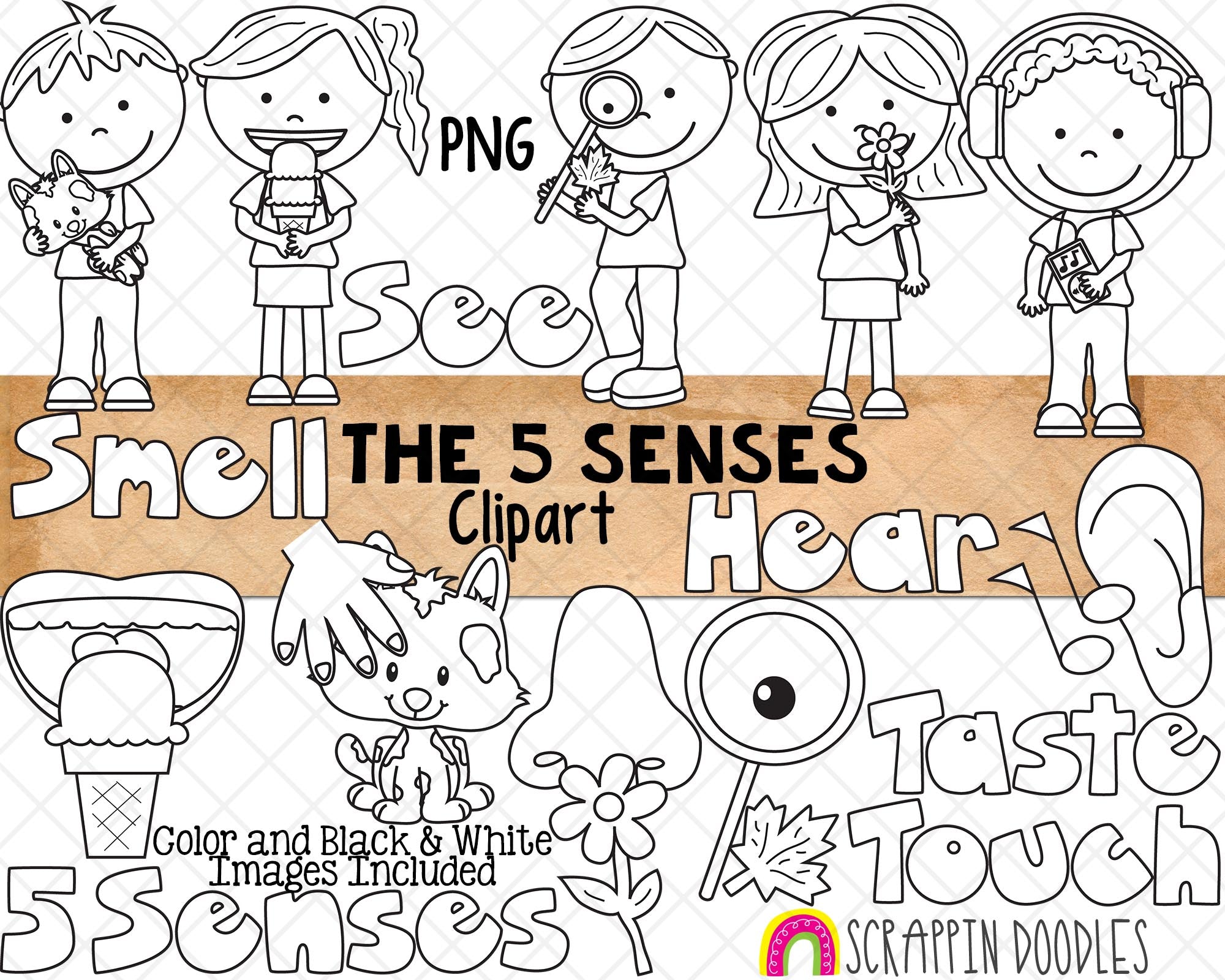 Five Senses - Smell - Clip Art Library