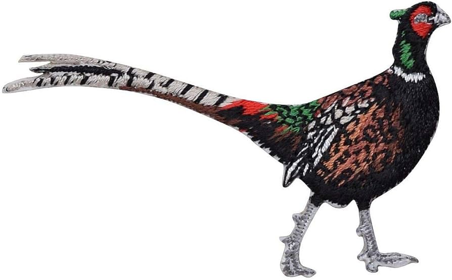 Free Vectors | pheasant
