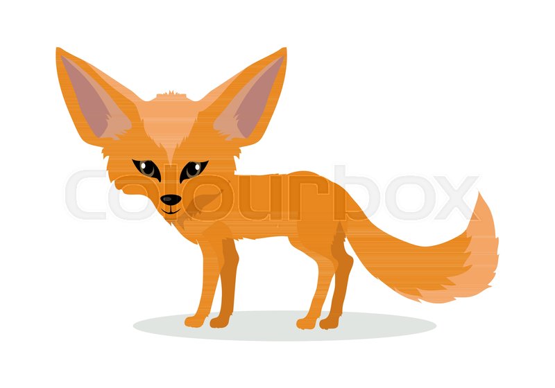 Fennec Fox On White Background Icon Stock Vector (Royalty Free 