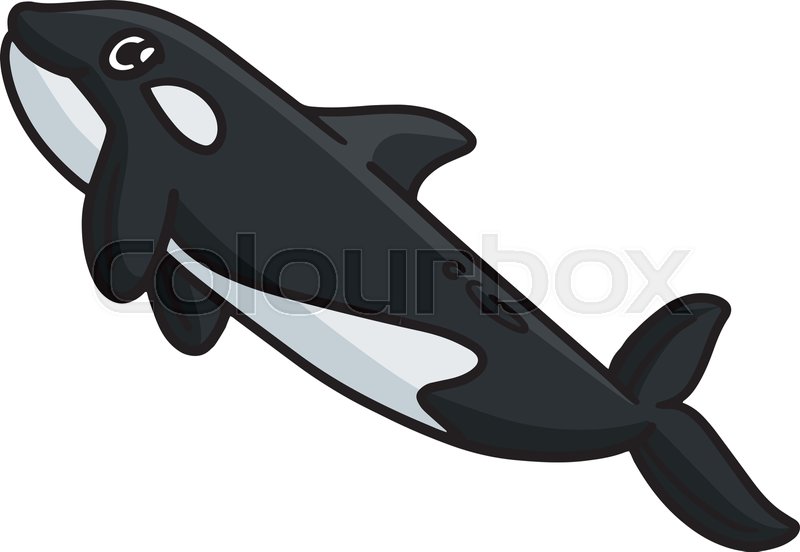 Whale Clipart Vintage Orca Killer Whale Clip Art Library