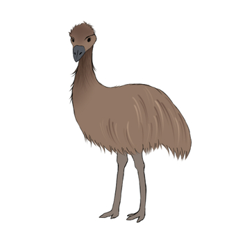 Cute Kawaii Emu Clipart Graphic by Hamees Store · Creative Fabrica