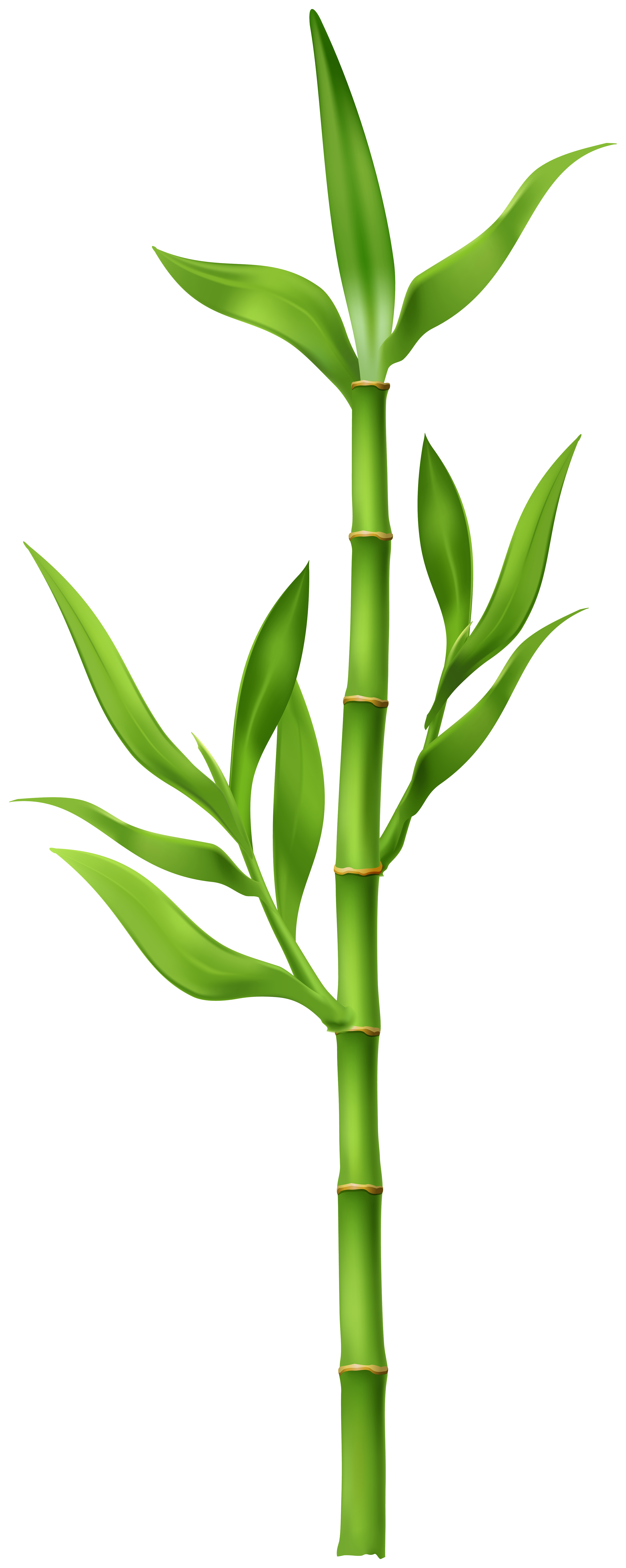 Panda Clipart-cute panda leaning against bamboo tree clip art