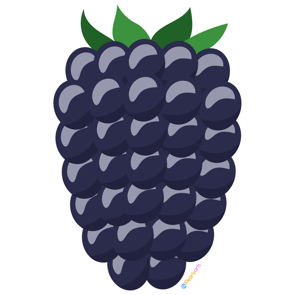 Berries Stock Illustrations – 204,332 Berries Stock Illustrations 