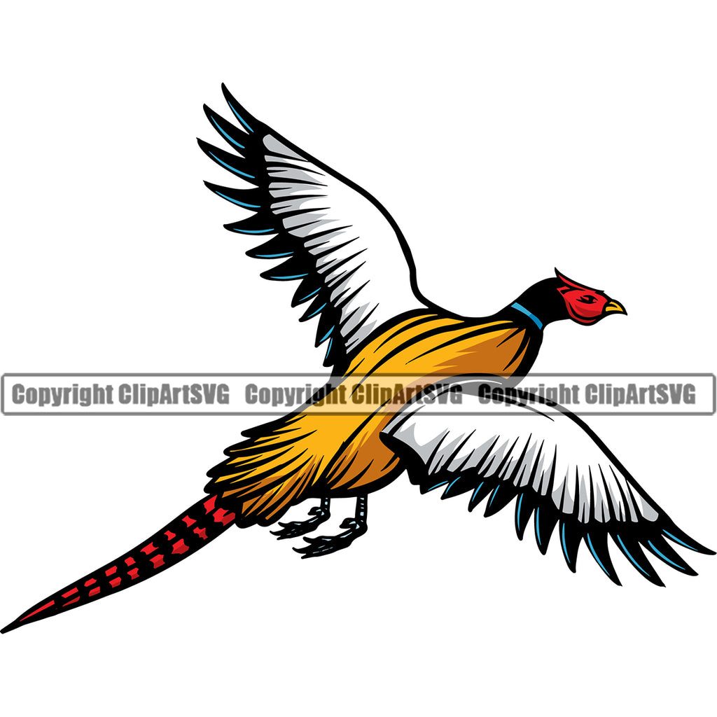 Cartoon Pheasant Stock Illustrations – 786 Cartoon Pheasant Stock 