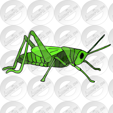 Free Grasshopper Clipart Download Free Grasshopper Clipart Png Images Free Cliparts On Clipart