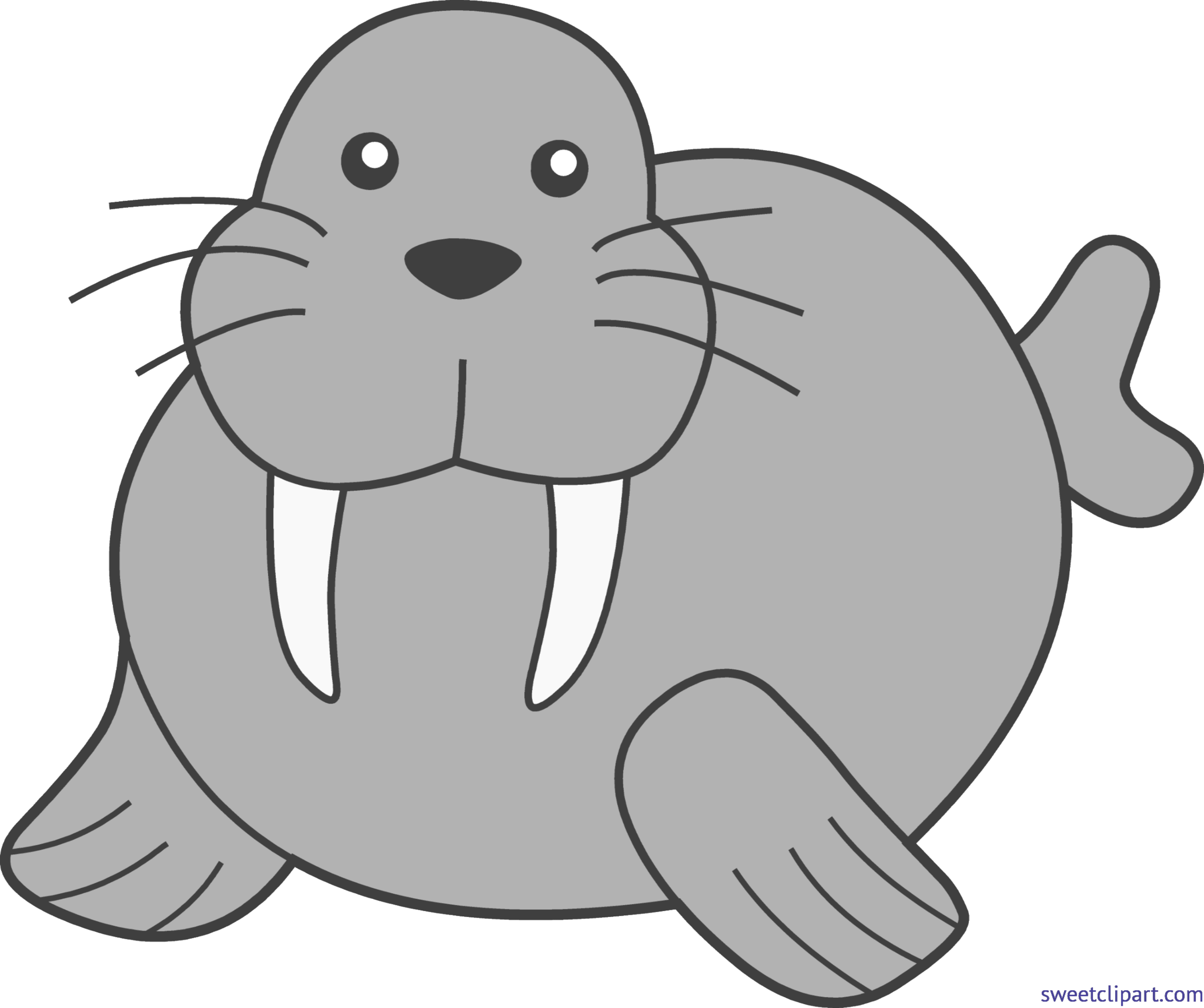 Premium Vector | Cute walrus cartoon. morse clipart vector - Clip Art