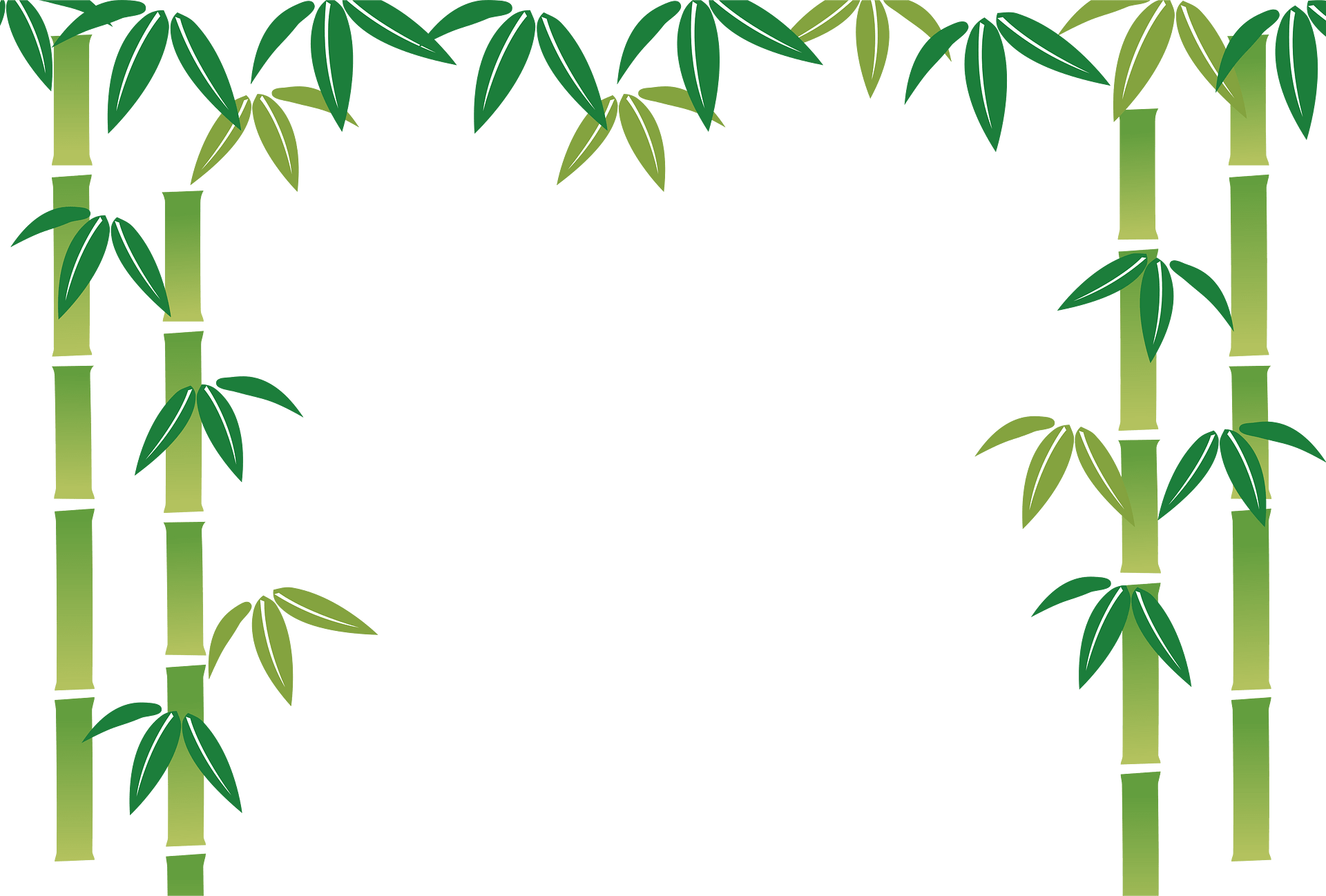 Bamboo Clipart Images Free Download PNG Transparent Background 