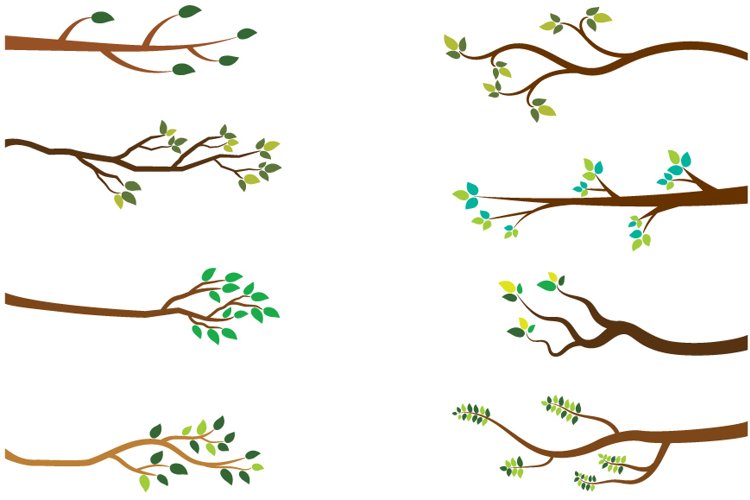 branch clipart