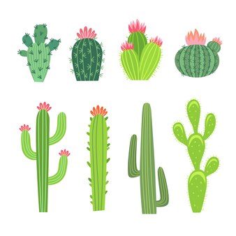 cactus flower clipart