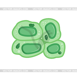 biology clipart