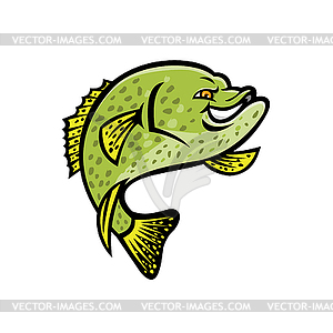 crappie clipart