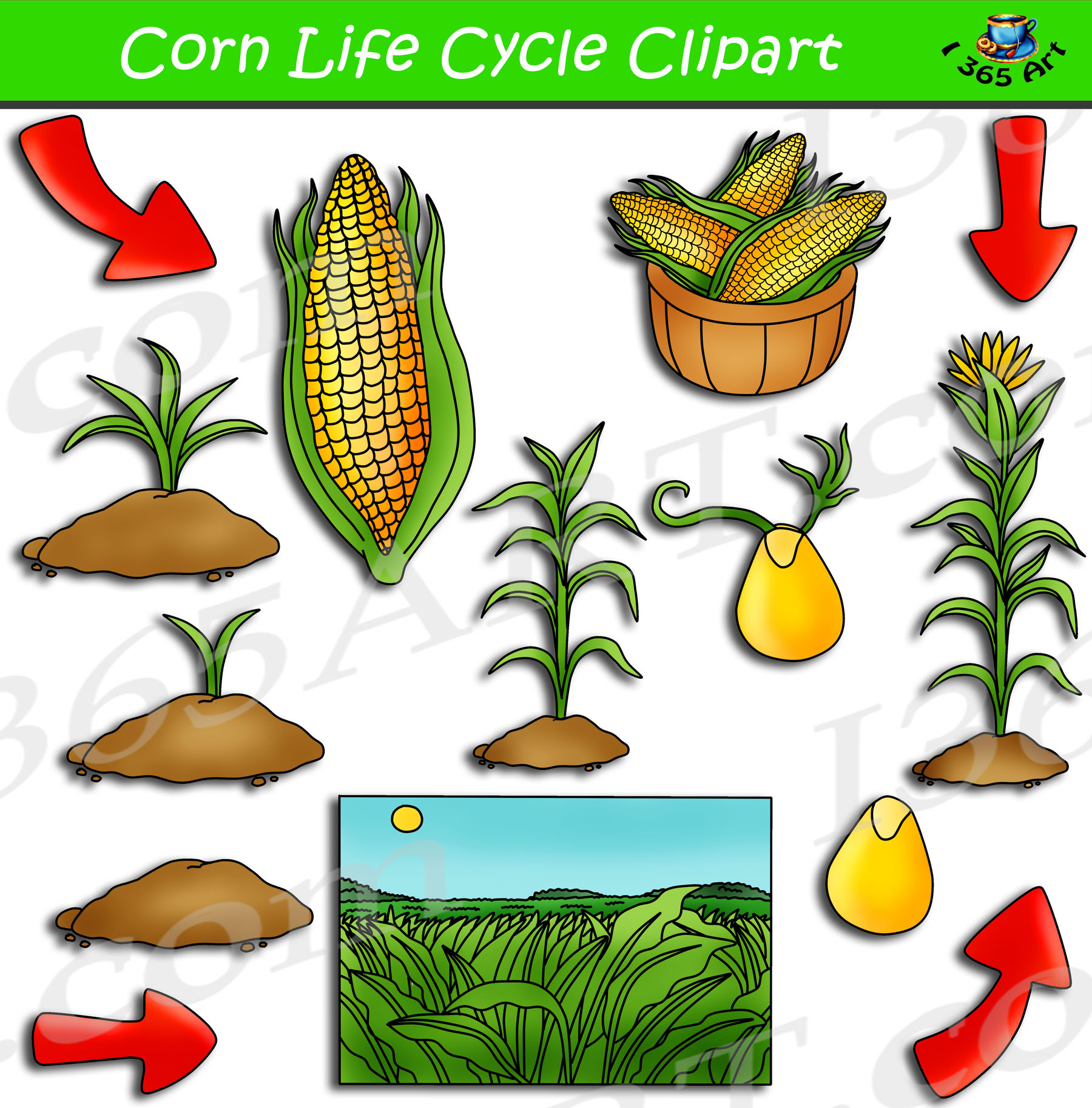 Premium AI Image | beautiful bundle of corn stalks tied with a bow 