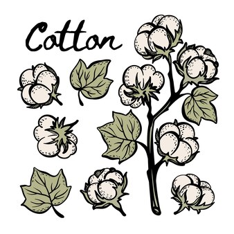 Cotton Svg Cotton Boll Png Cotton Clipart Cotton Plant - Etsy Denmark 