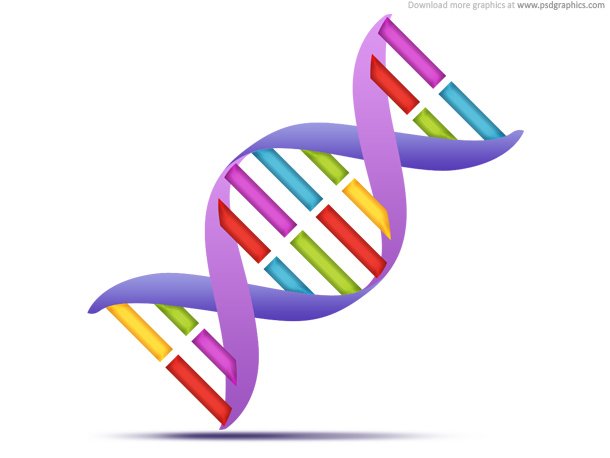 Dna clipart images in SVG, PNG, GIF