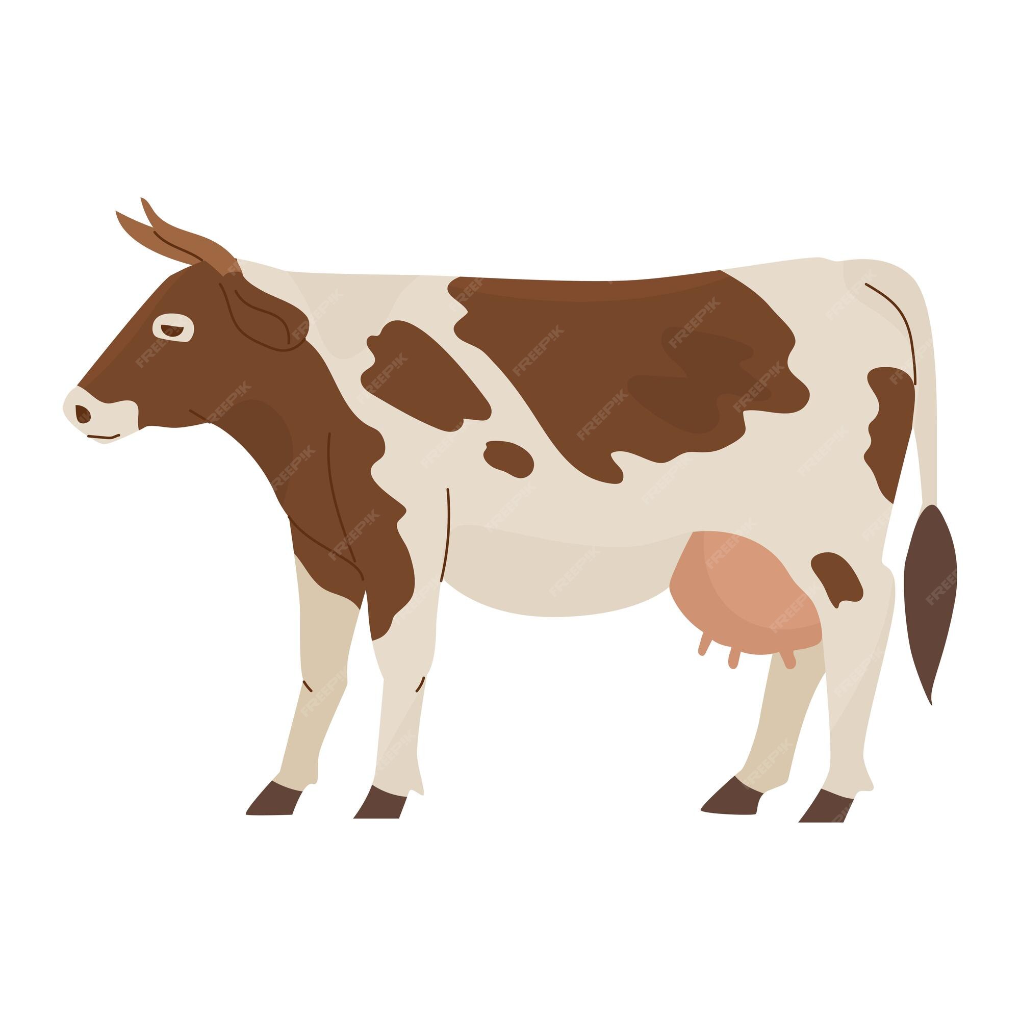cow udder clip art