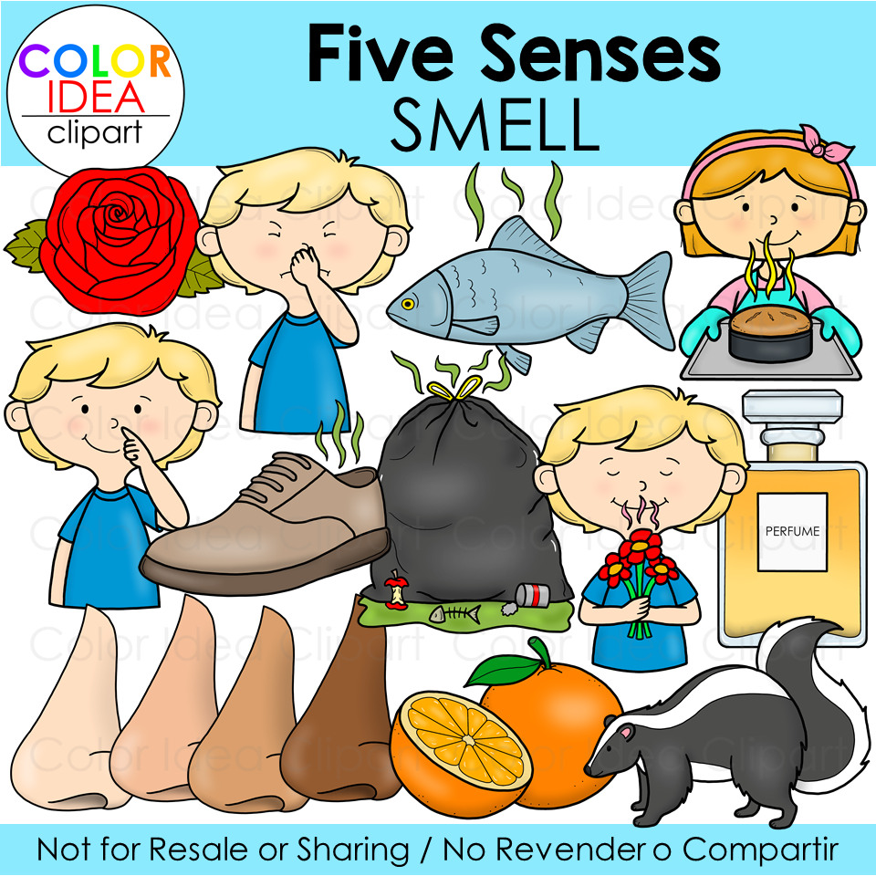 five-senses-smell-clipart-health-clipart-clip-art-library