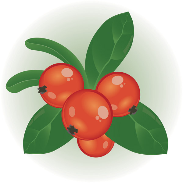 berry clipart