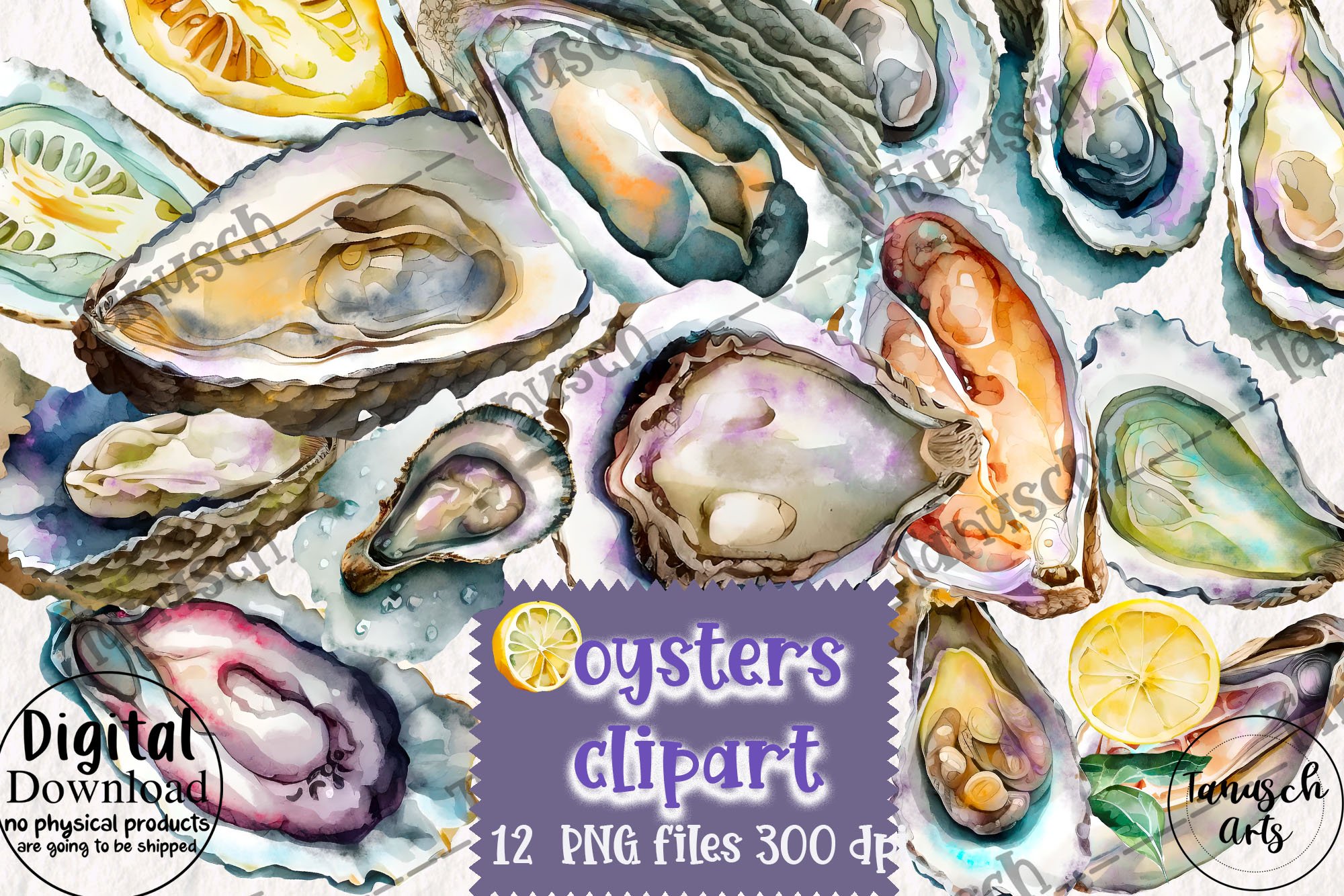 6 Oysters clipart - Graphics Factory