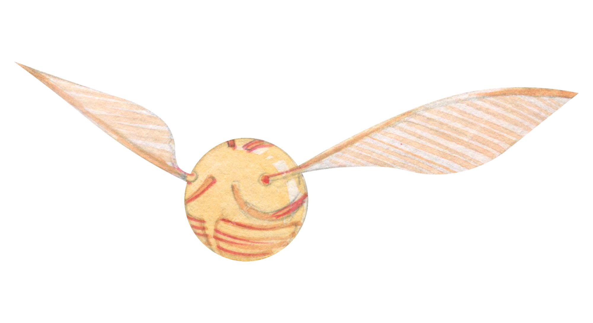 Golden Snitch Wings Clip Art at  - vector clip art online, royalty  free & public domain
