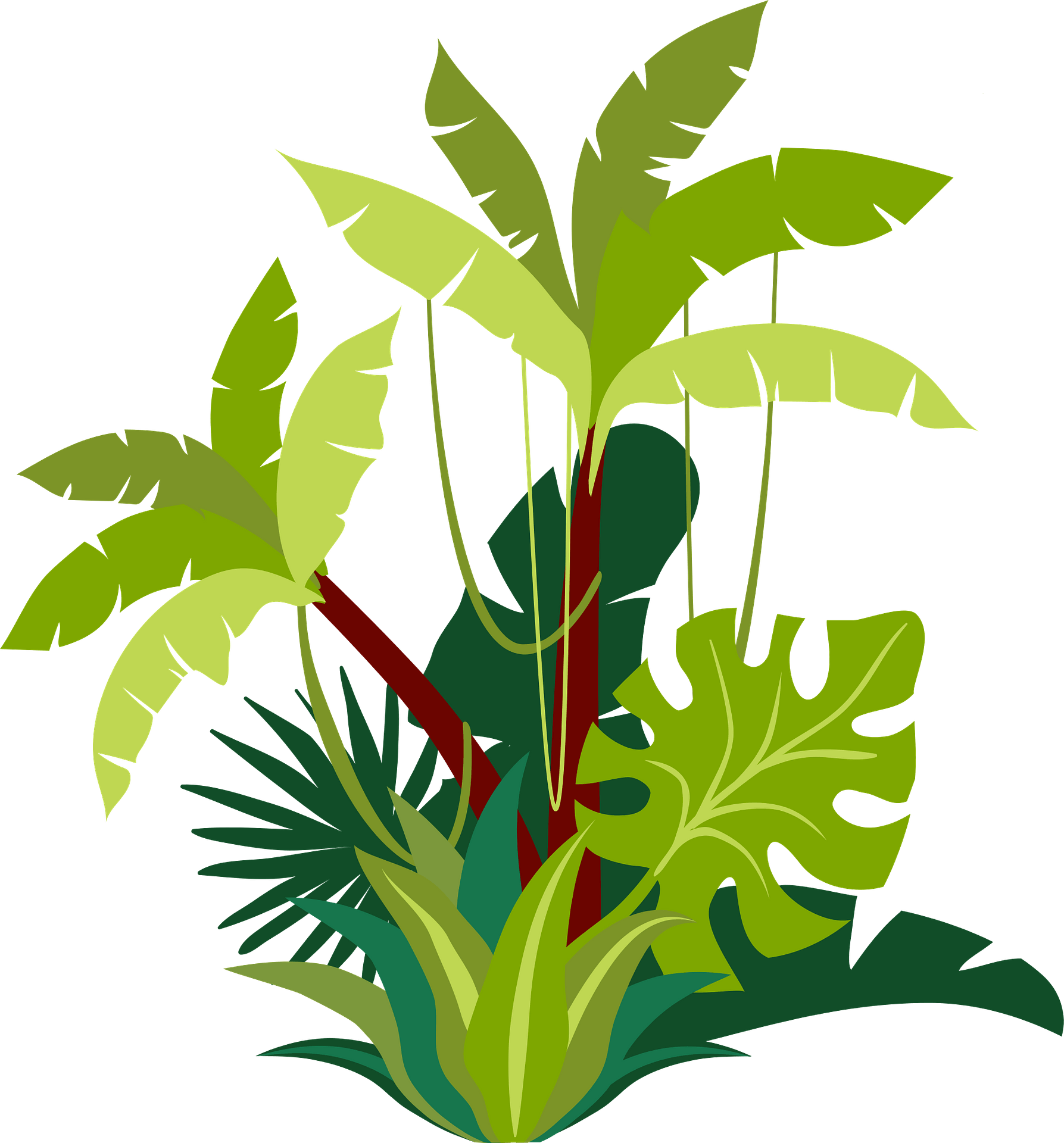 Jungle Clipart Images - Free Download on Clipart LIbrary - Clip Art Library