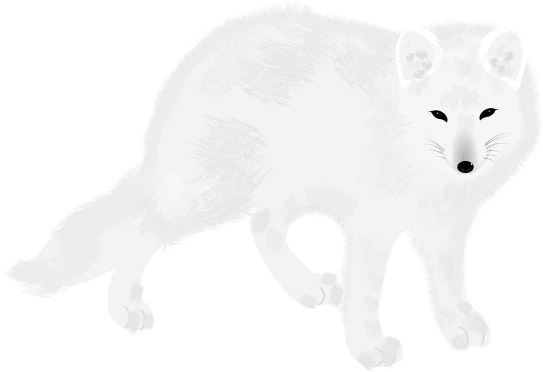 Watercolor Arctic Fox Clipart Bundle 10 High Quality JPG - Etsy
