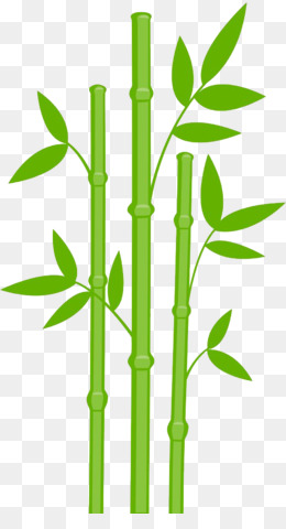 Bamboo Clipart Vector, Bamboo Bamboo, Bamboo Clipart, Bamboo 