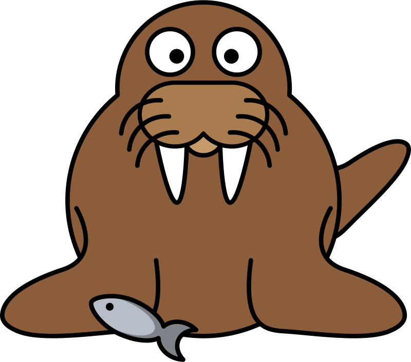 walrus clipart