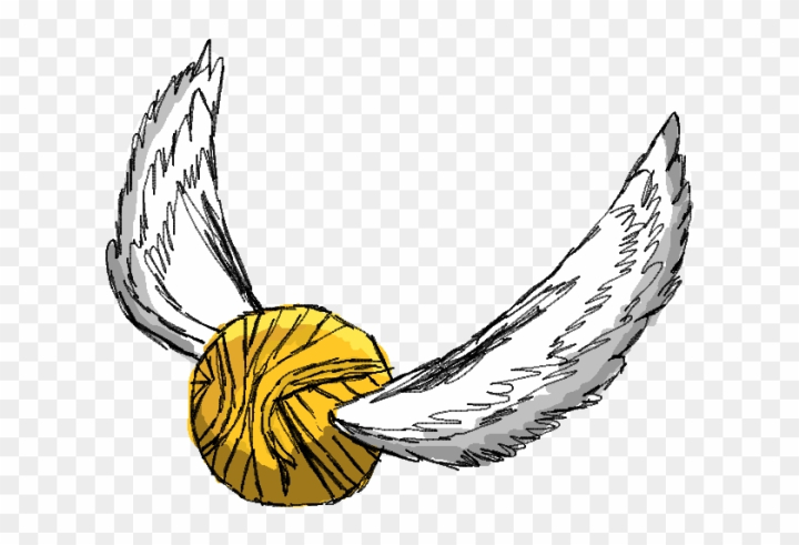 How to draw a Golden Snitch 