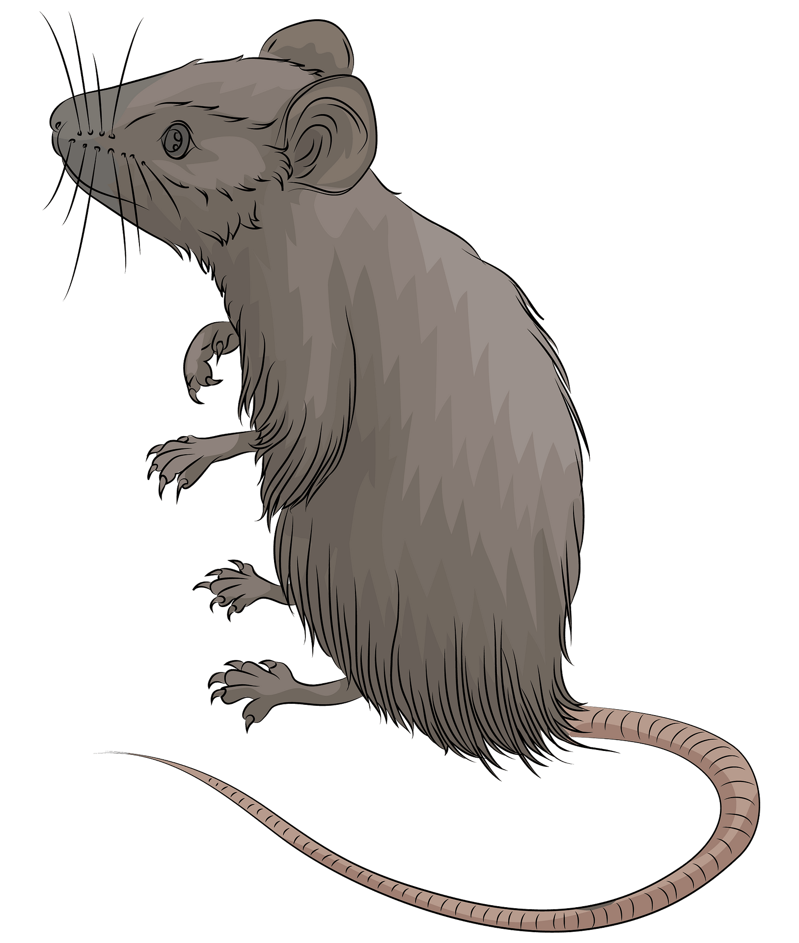 20-774-mouse-clip-art-images-stock-photos-3d-objects-vectors