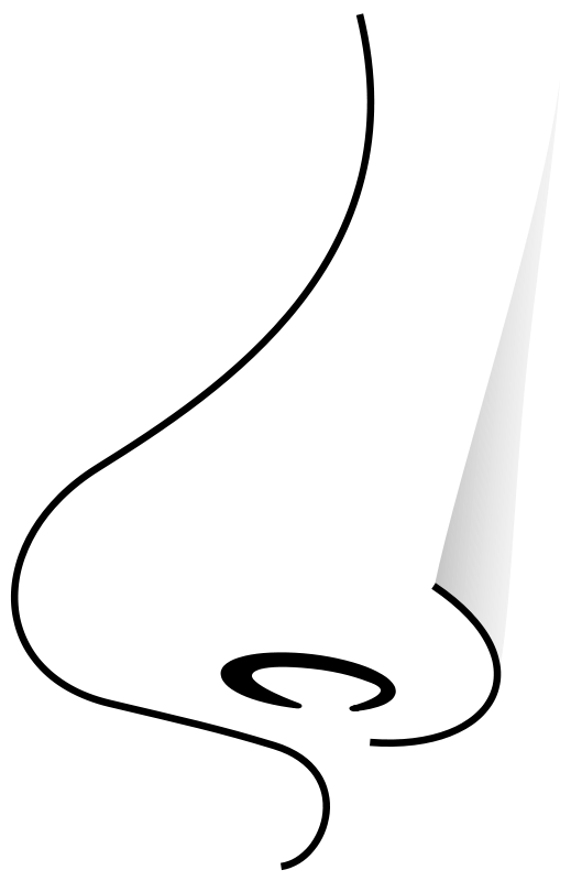 clipart nose