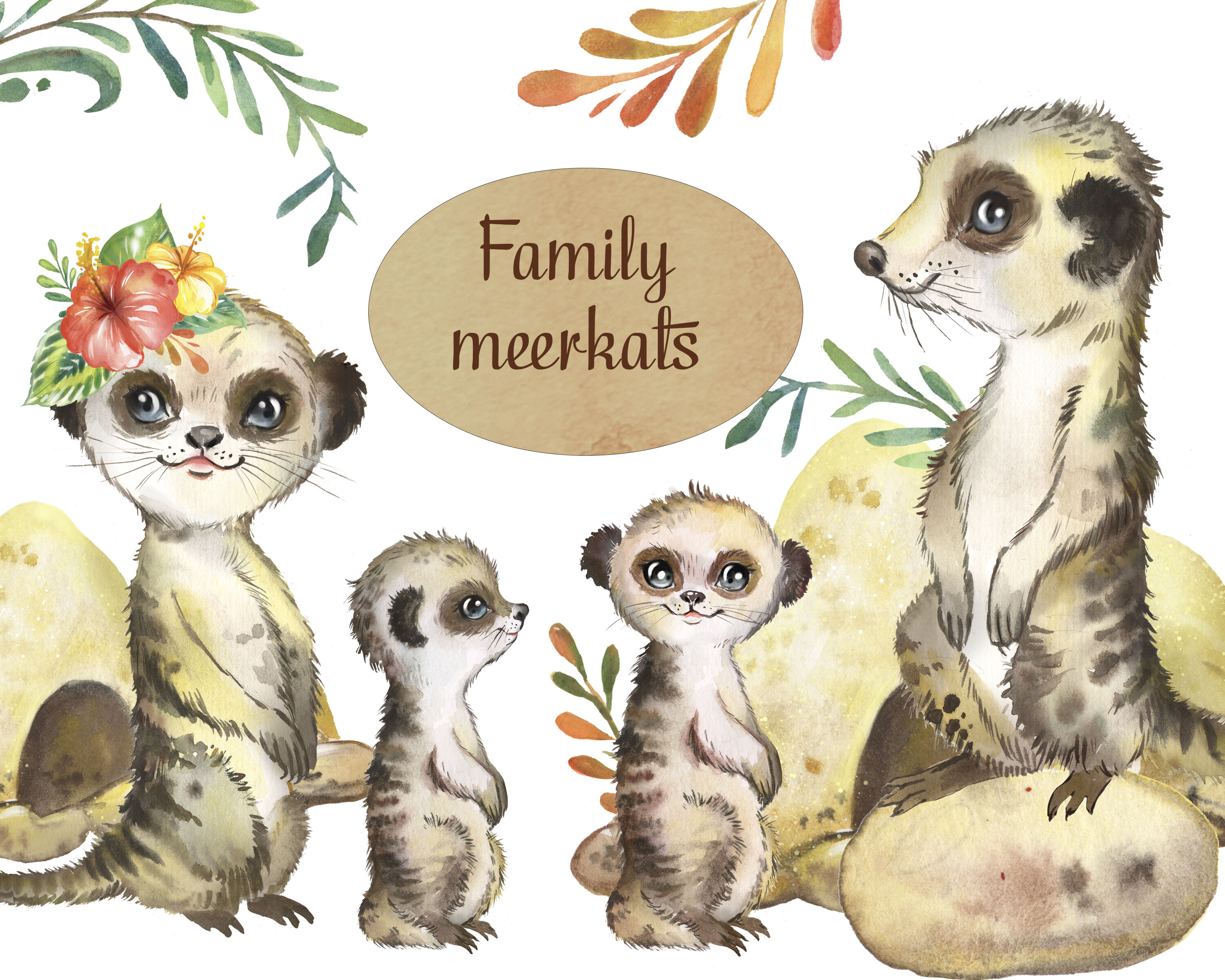meerkat clipart