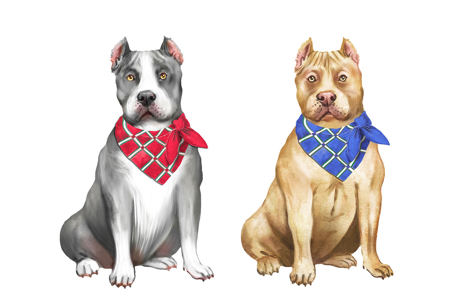 pitbull dog clipart