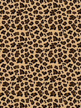 cheetah print clipart