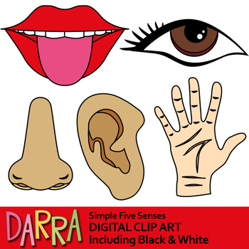 five senses clipart