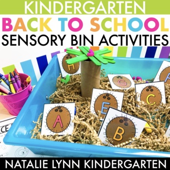 Fall Sensory Bin - Busy Toddler